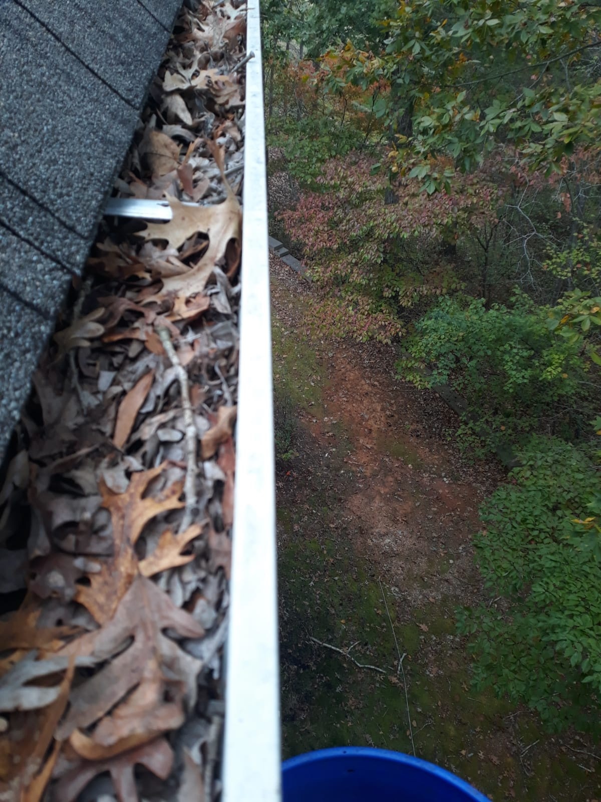 Clean Pro Gutter Cleaning Gladstone Image